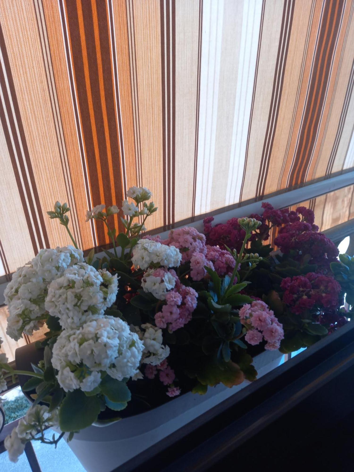 Irene Home Syracuse Екстер'єр фото